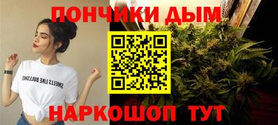 сатива Аша