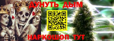 сатива Аша