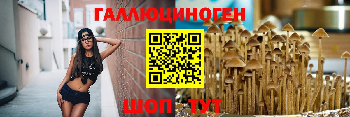 Богородск  Псилоцибиновые грибы MAGIC MUSHROOMS  Вход с VPN 